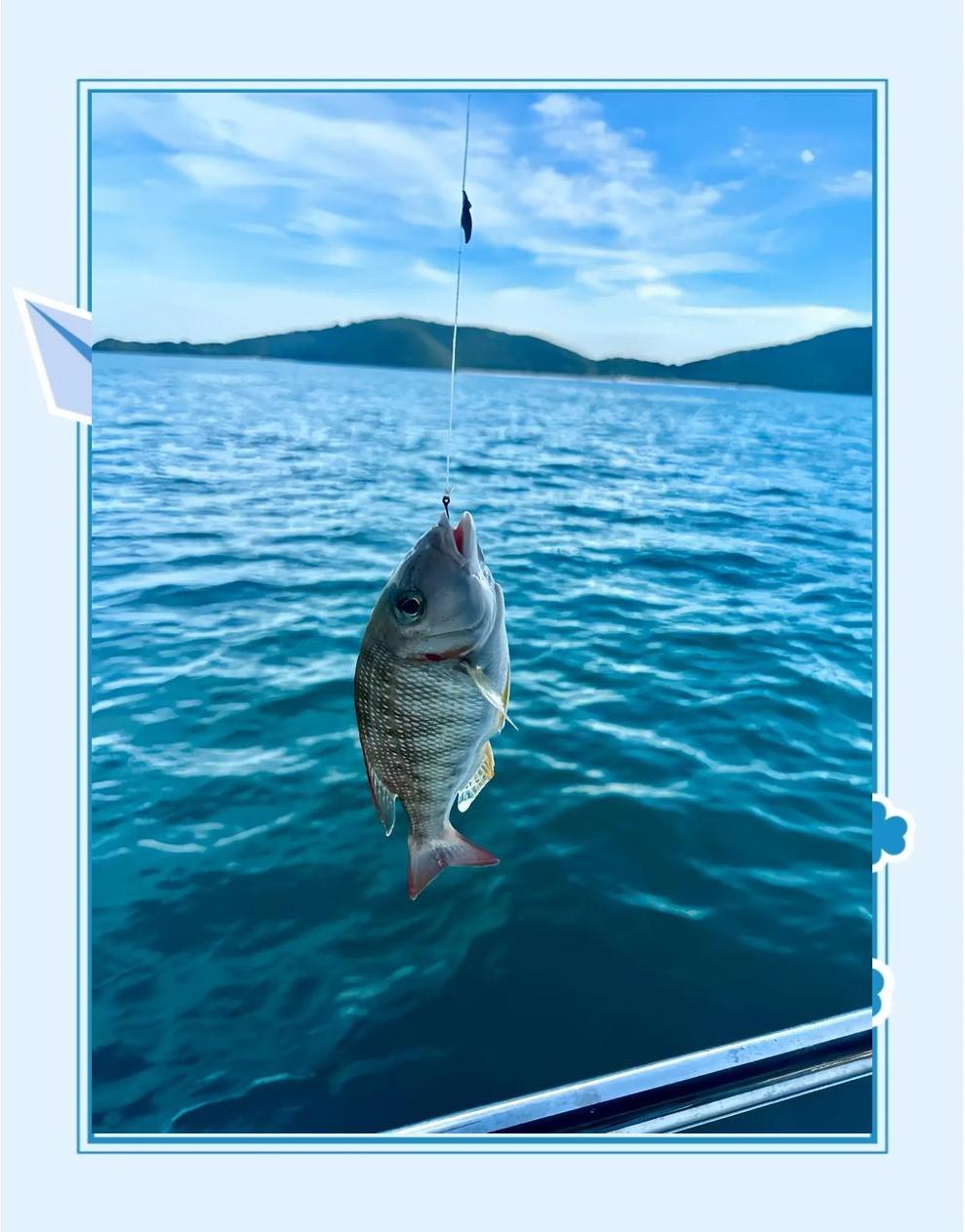 日照海边钓鱼技巧(日照海边能钓到什么鱼)