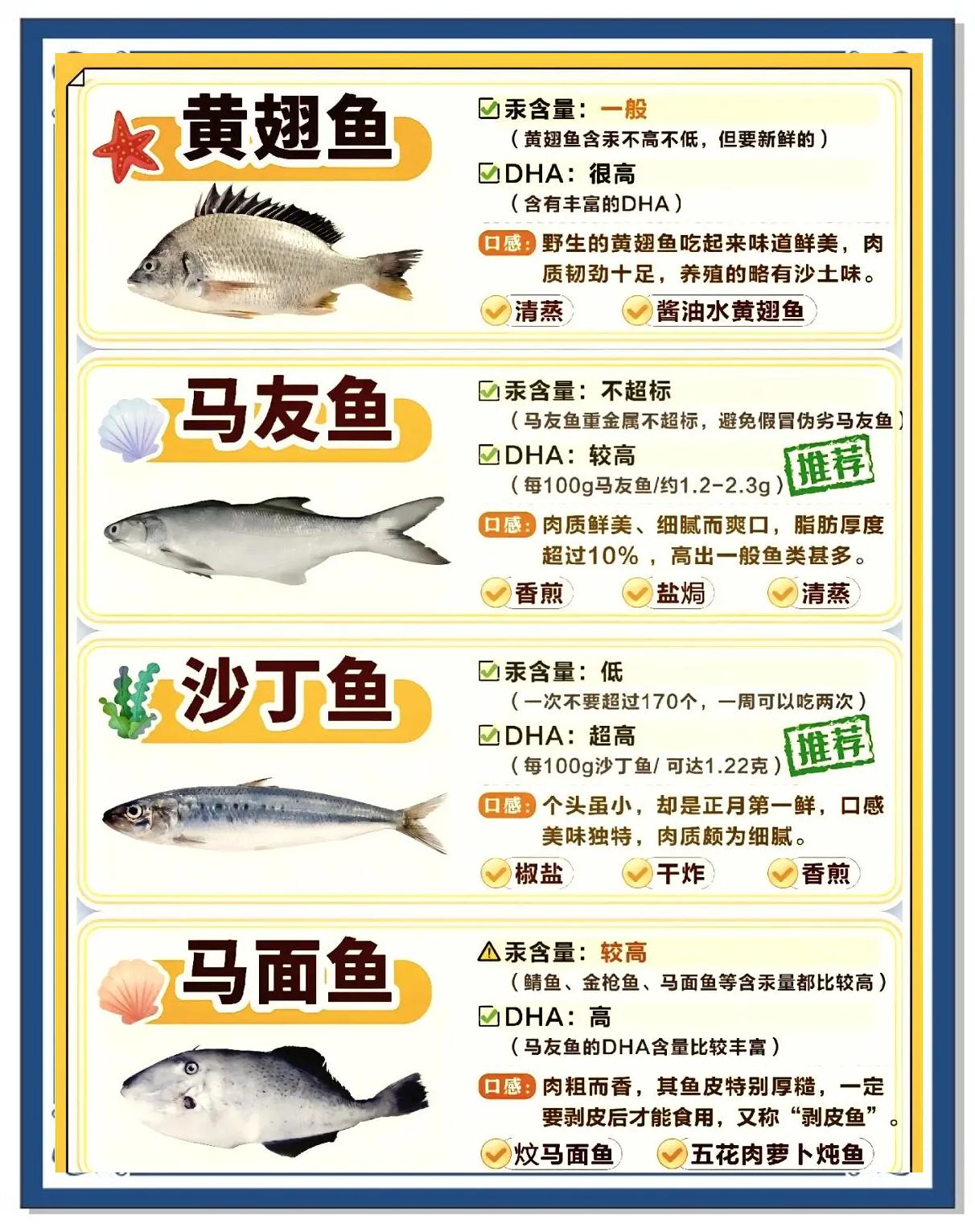 海钓鱼类常识(海钓常见的海鱼)