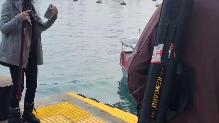 香港海钓合法吗(香港海钓视频)