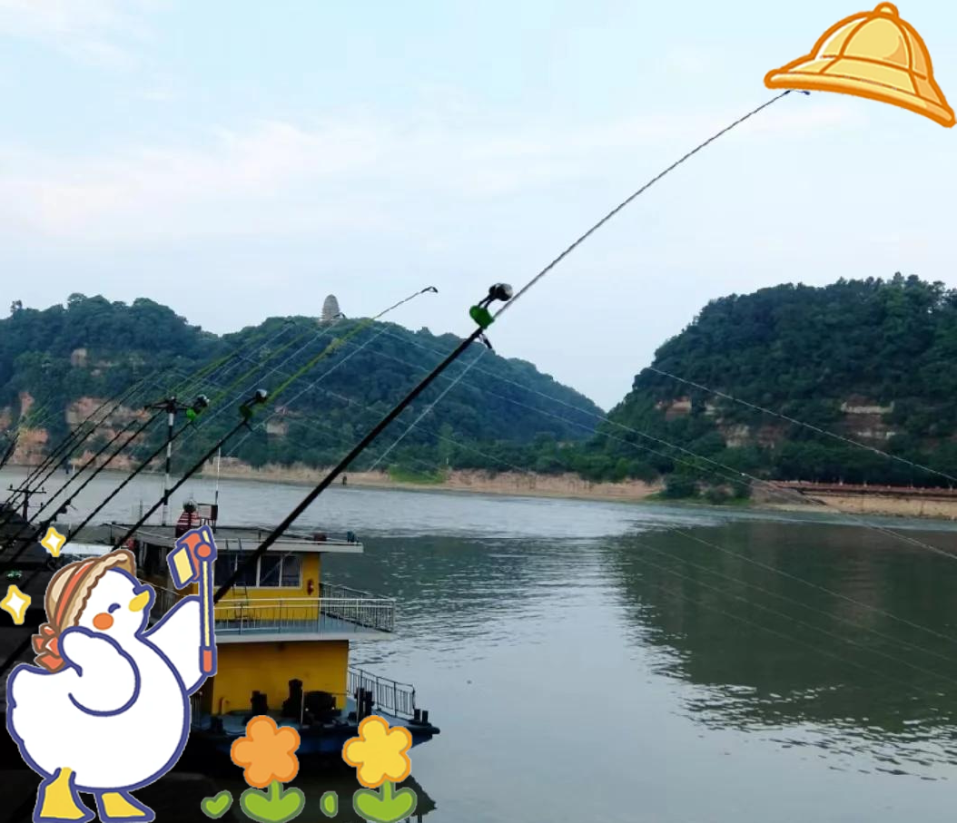 长江钓鱼抛竿技巧视频(抛竿的正确方法图解)