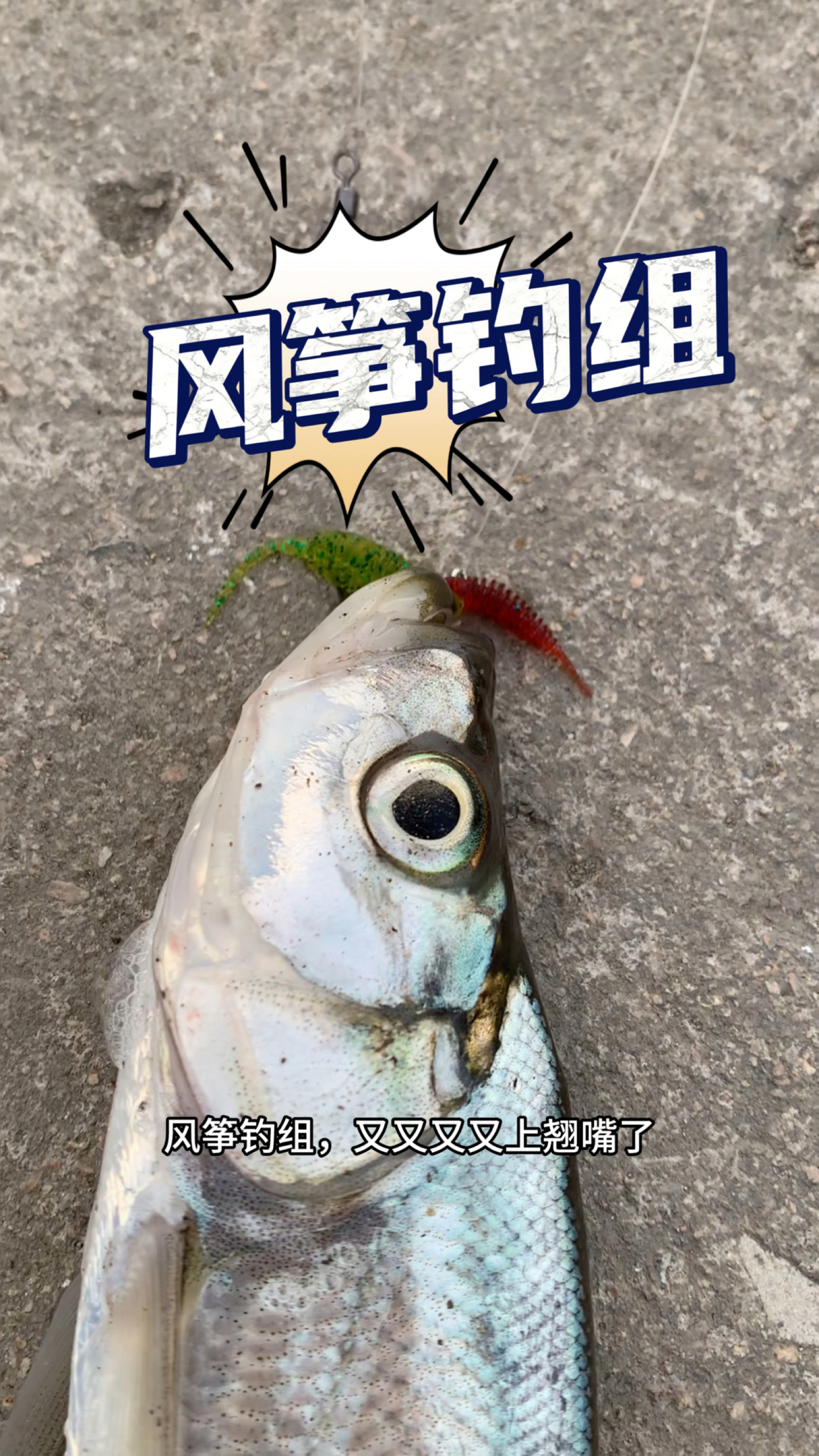 降温路亚翘嘴(冬天路亚翘嘴鱼有什么技巧)