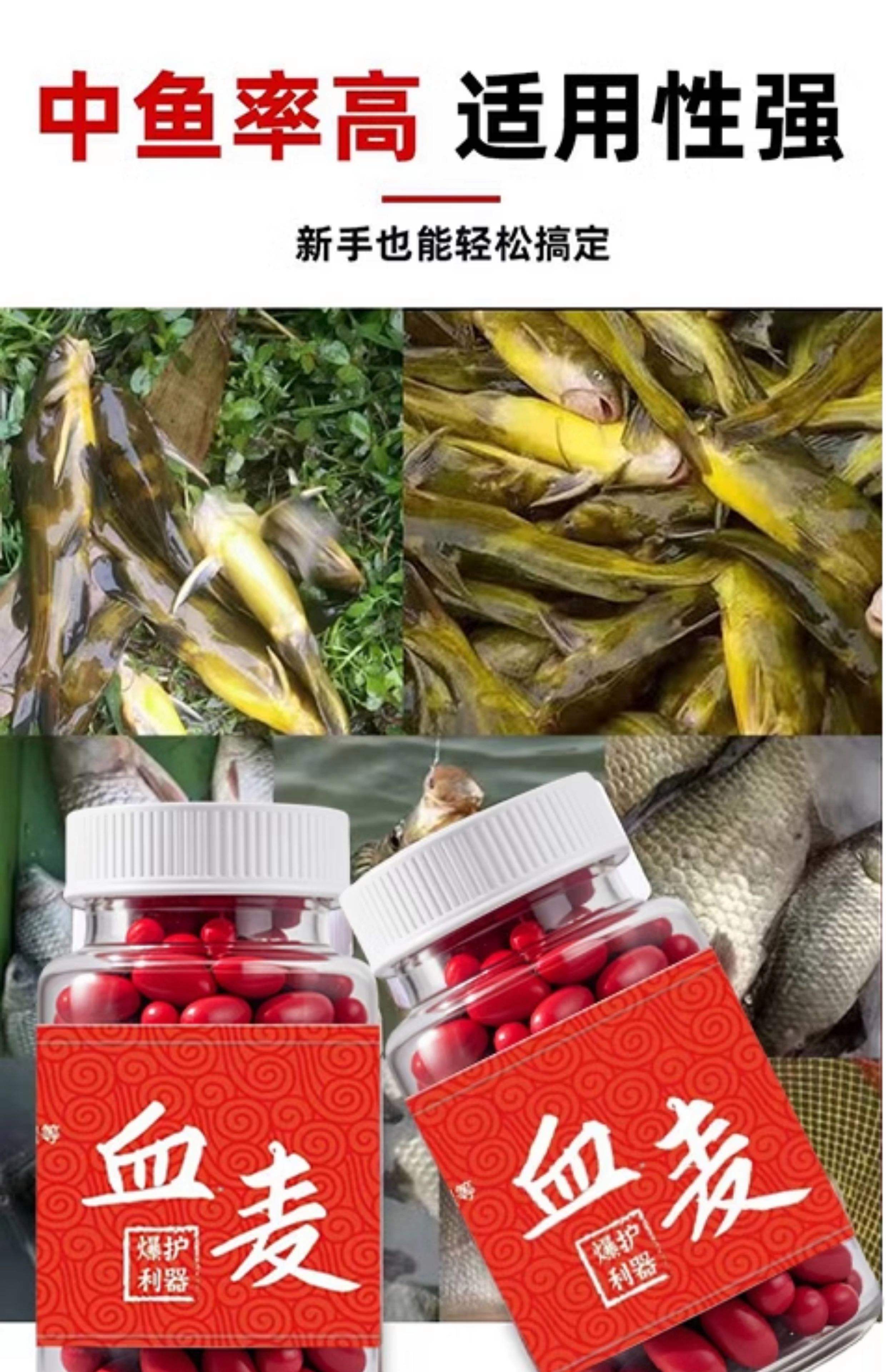 谷物鲫饵料钓鱼怎么样(谷物类饵料哪款好)