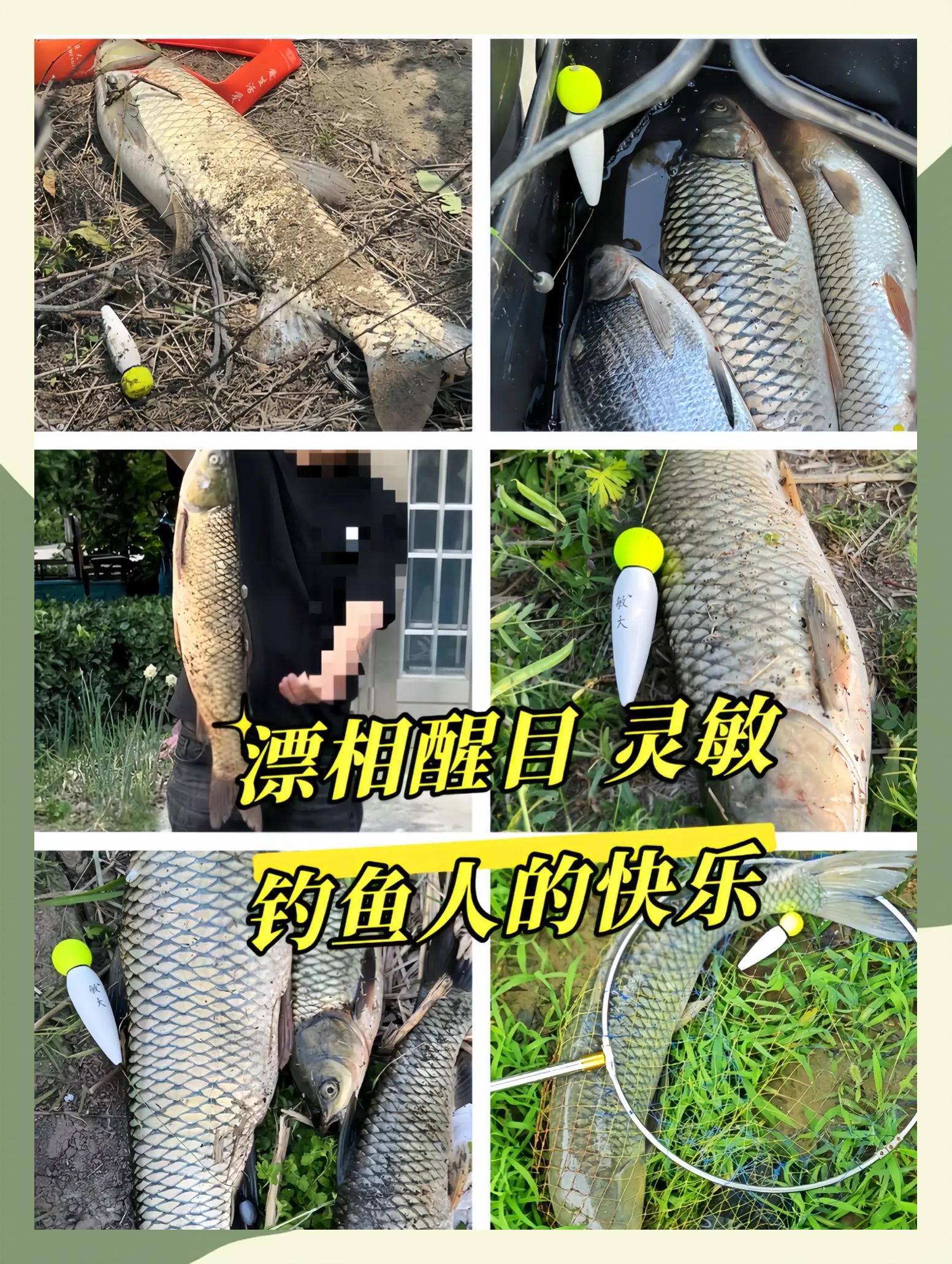 水库钓草鱼技巧夜钓(水库钓草鱼技巧夜钓视频)