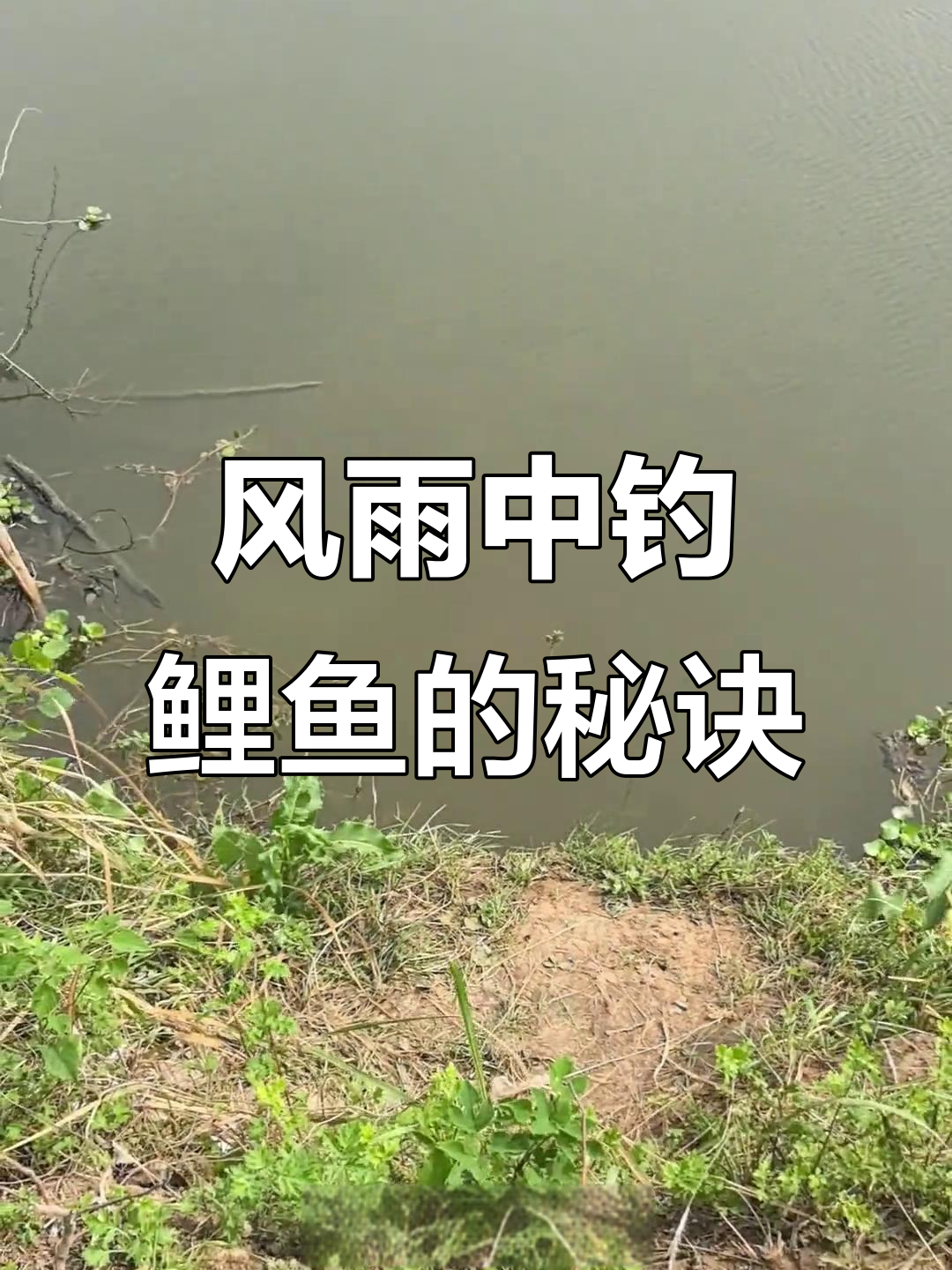 夏季钓鲤鱼的技巧(夏季钓鲤鱼的方法和技巧有哪些)