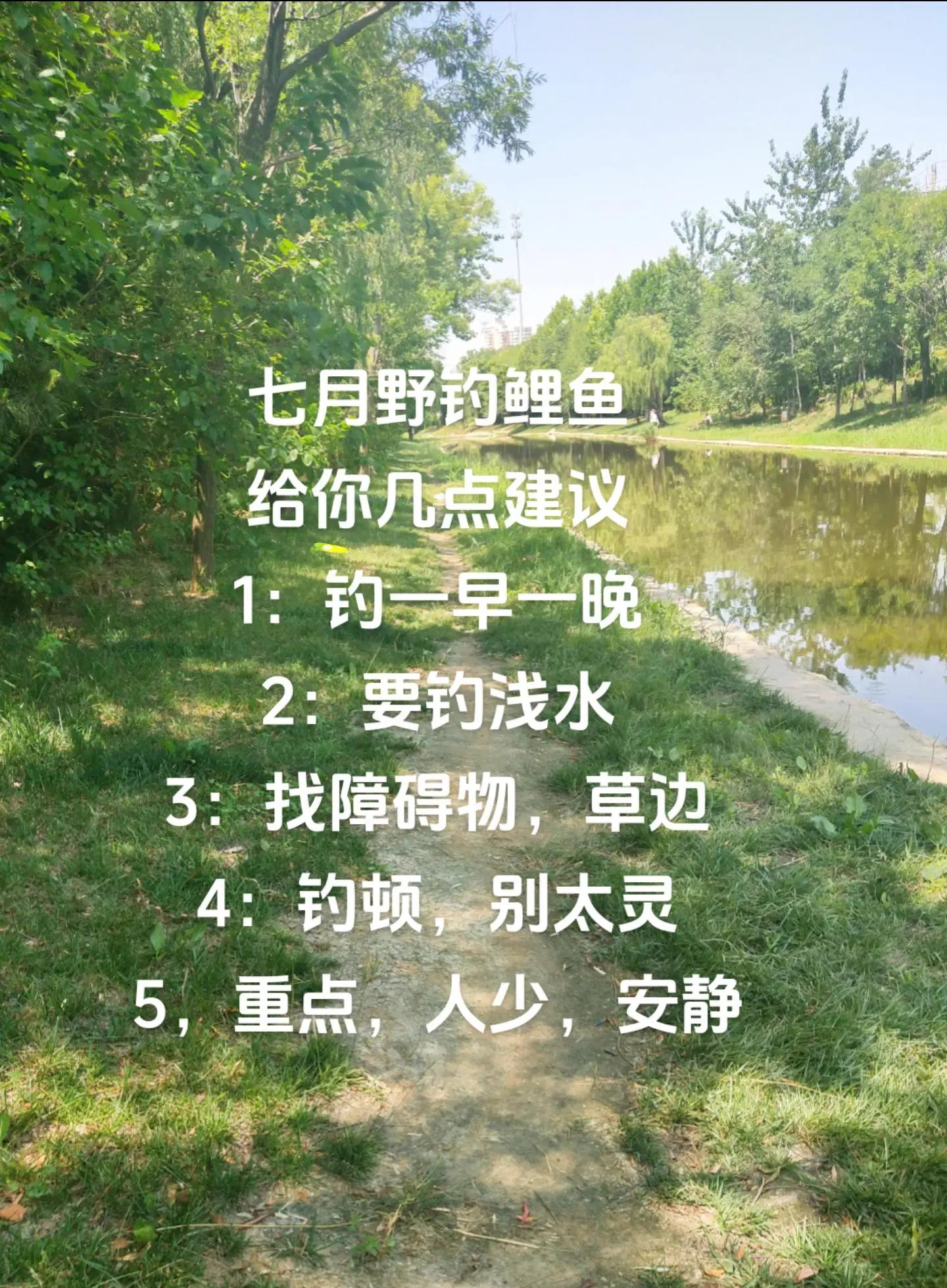 春季夜钓鲤鱼技巧(春季夜钓鲤鱼技巧视频)