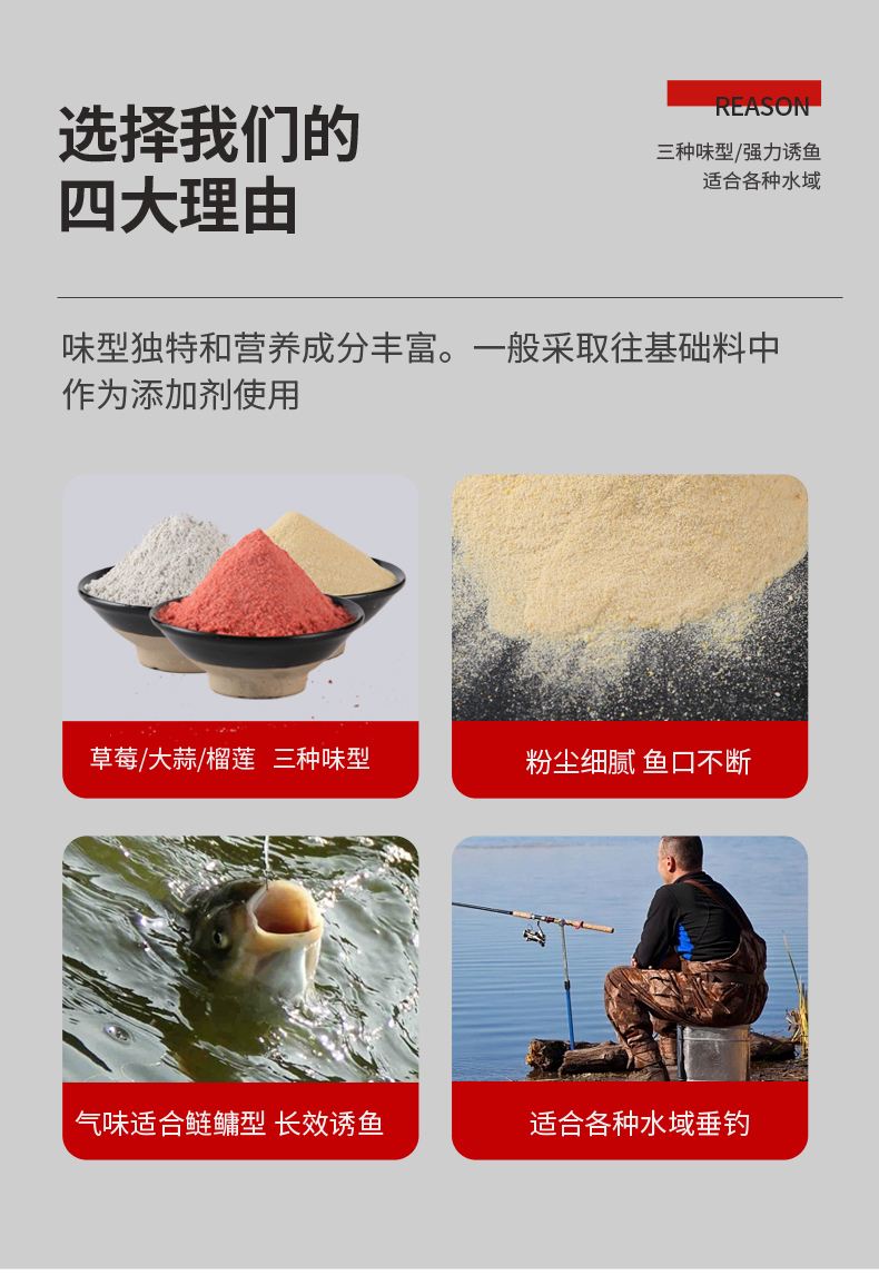 宁波饵料公司(宁波饵料公司电话)
