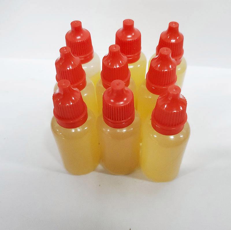 冬天钓甲鱼用是饵料(冬天钓甲鱼用什么最佳)