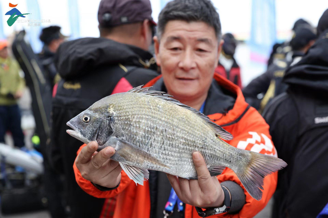 嵊山镇租船海钓(嵊泗海钓租船电话)