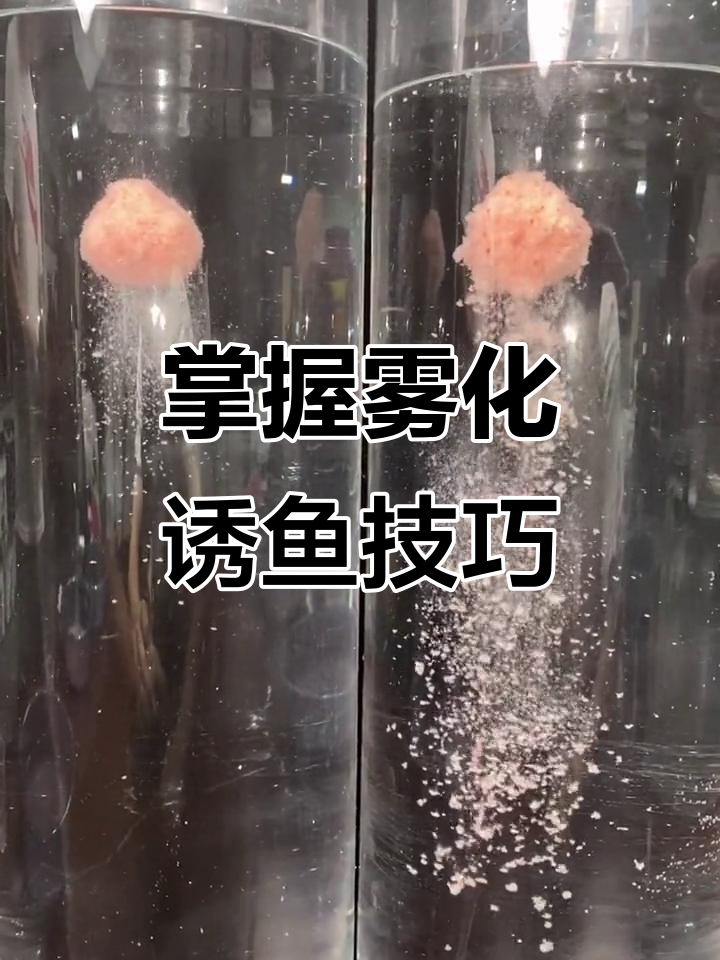 饵料入水后不雾化(饵料到不水底就雾化了了怎么办)