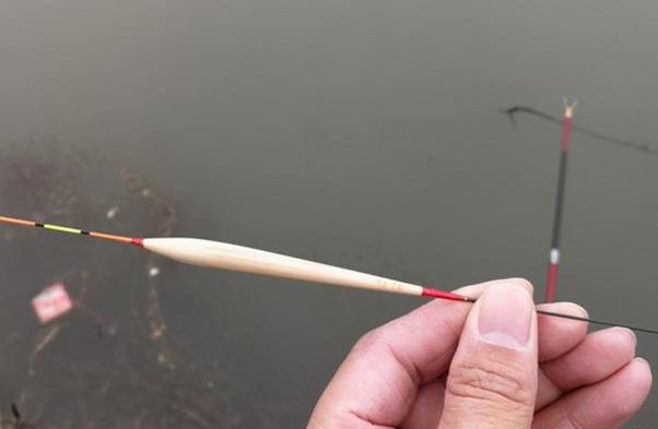 冬季钓鲫鱼提竿技巧(冬季钓鲫鱼应该怎样调漂)
