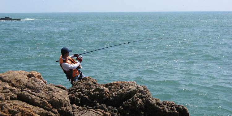 海钓滩钓潮水(海钓滩钓潮水怎么钓)