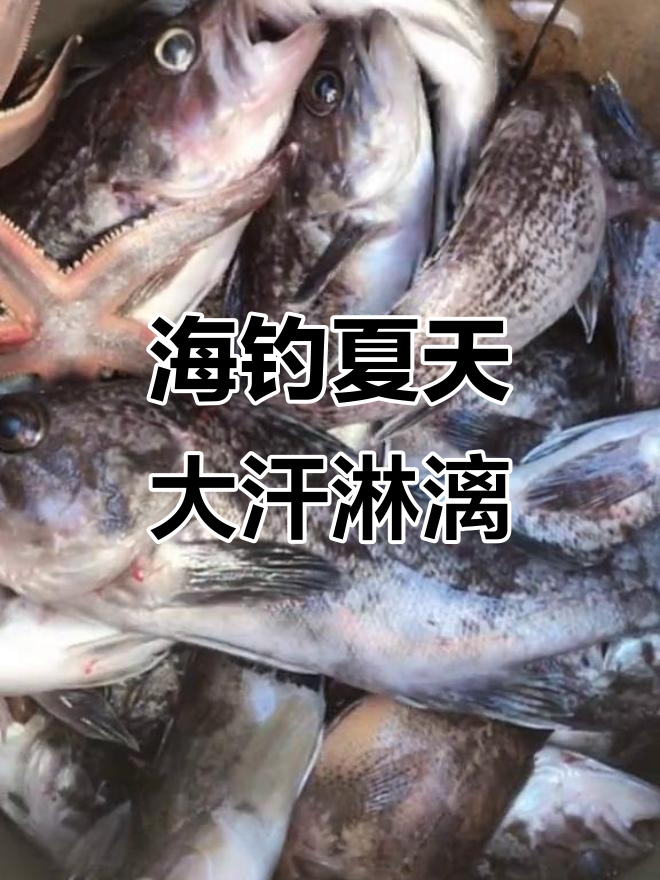 天气热能海钓么(天气热适不适合钓鱼)