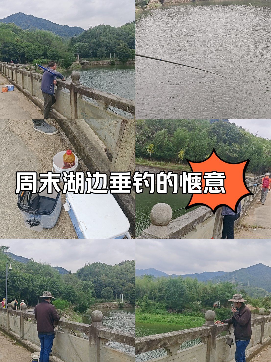 秋分前后野外钓鱼技巧(秋分过后钓鱼钓远还是钓近)