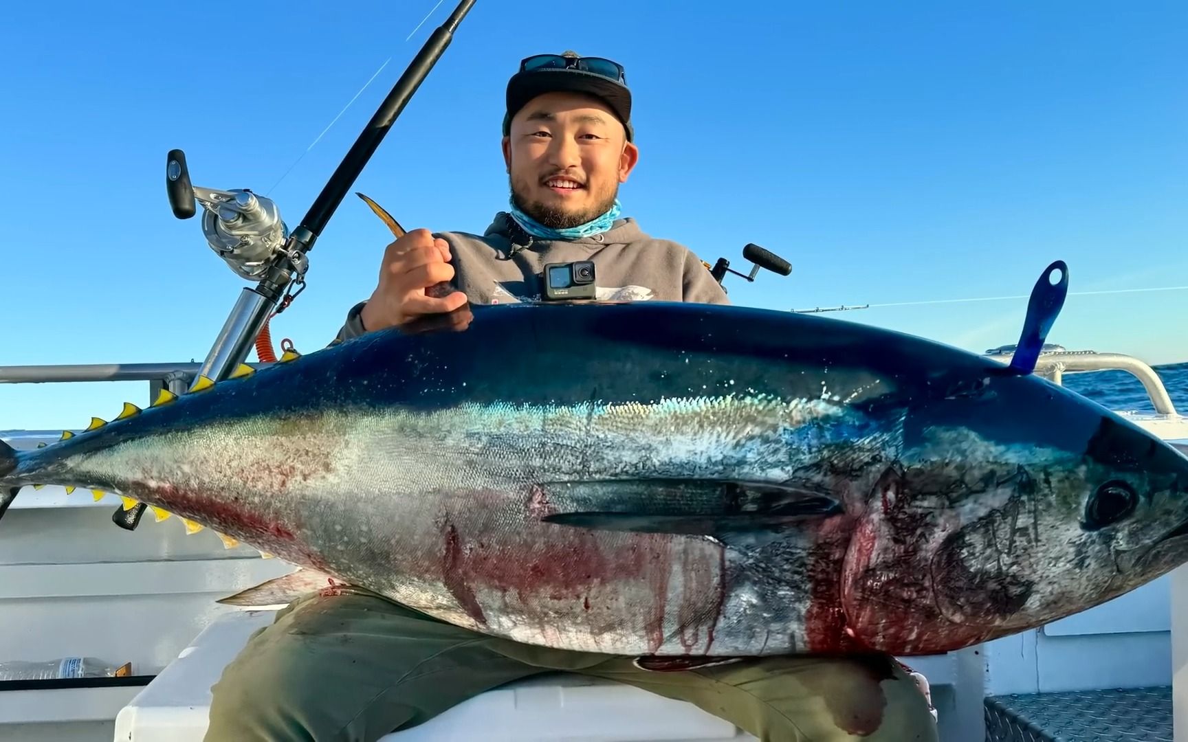 海钓大型金枪鱼(海钓大型金枪鱼装备推荐)