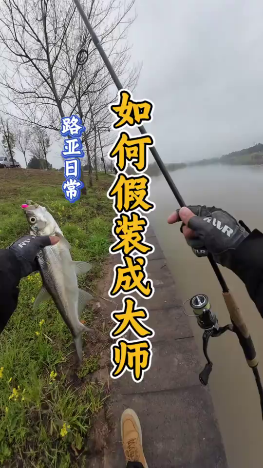 大师讲路亚(路亚大师钓鱼视频)