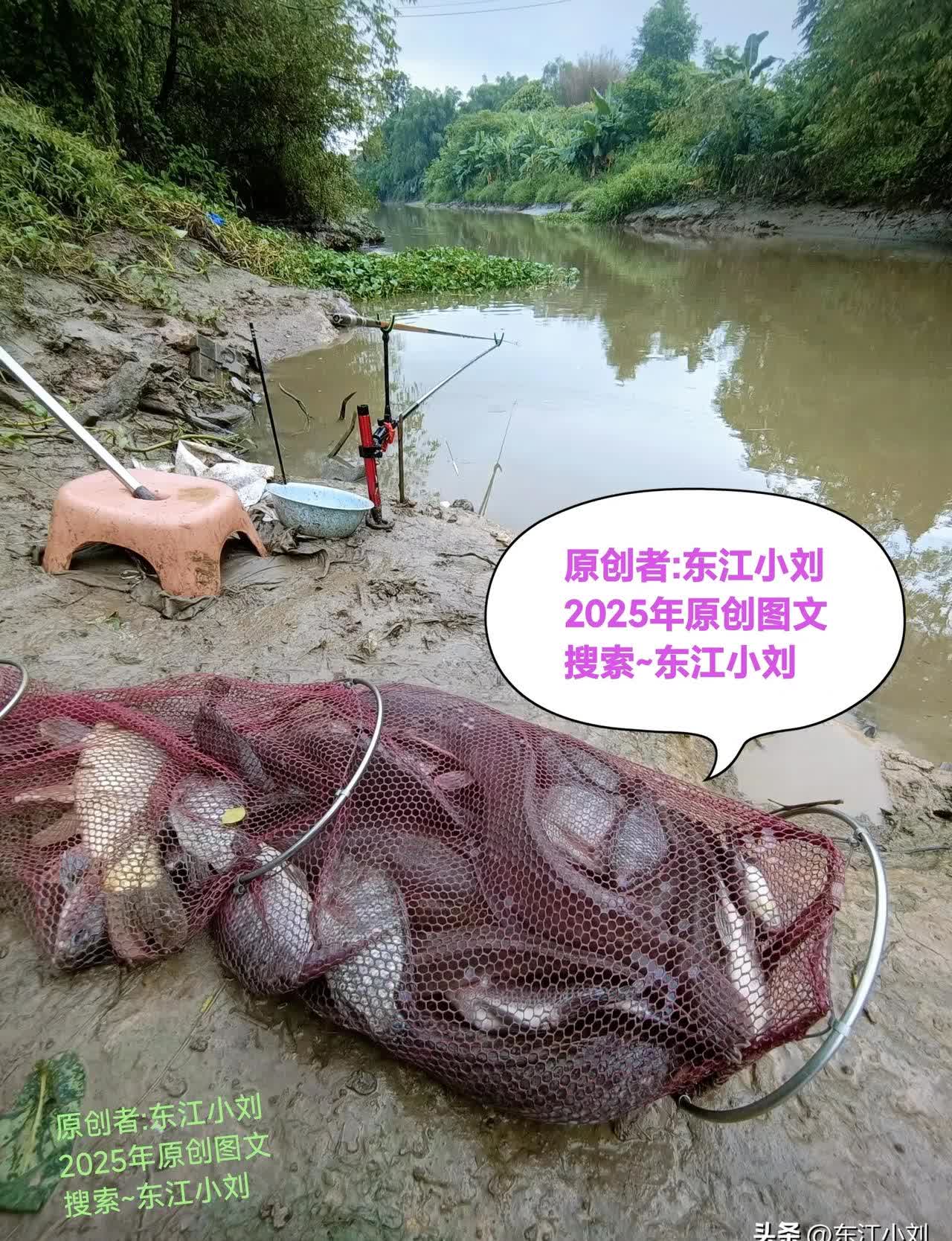 最新李大毛海钓视频(李大毛钓150斤大鱼视频)