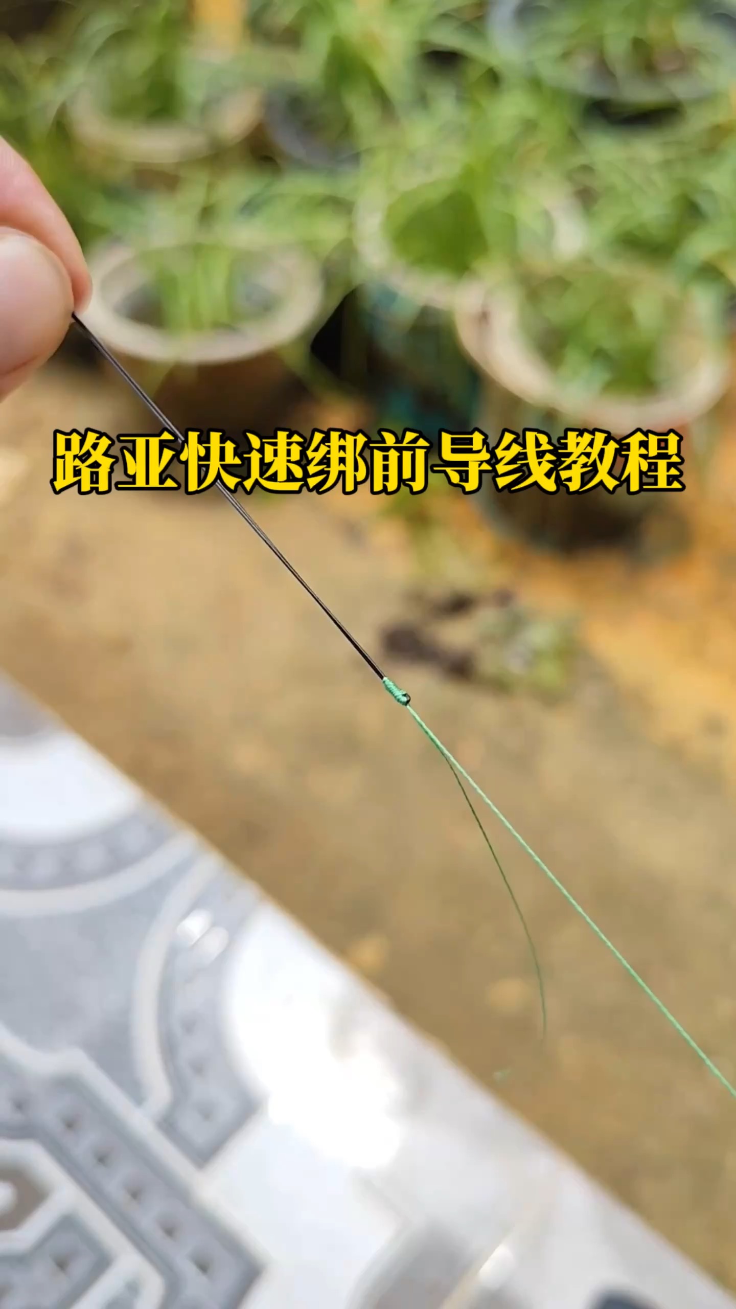 路亚海钓技巧(路亚海钓初学常识)