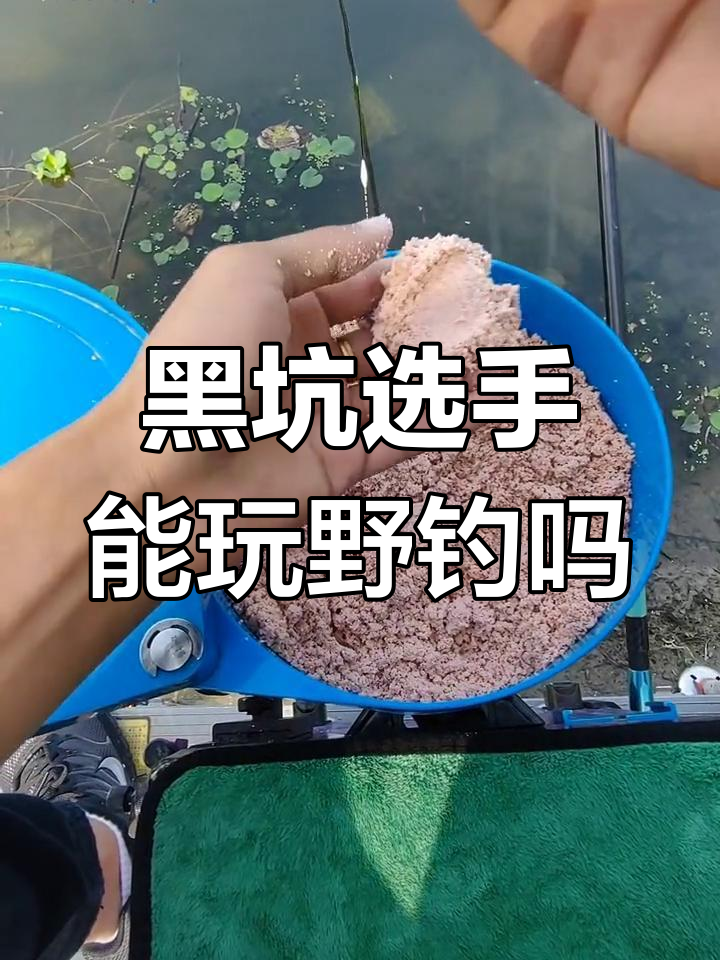 黑坑鲢鳙钓鱼技巧(黑坑钓鲢鳙选位技巧)