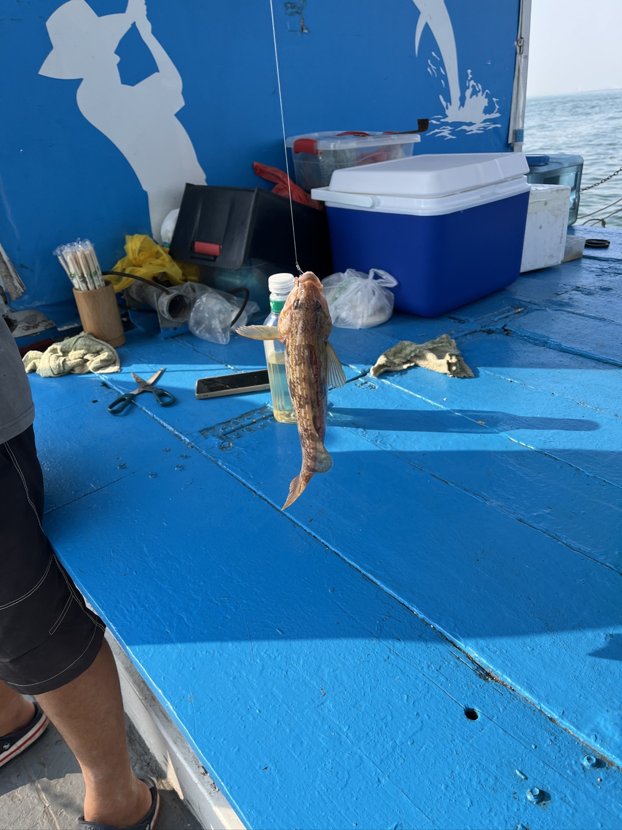 坦洲海钓的地方(珠海免费海钓最佳地方)