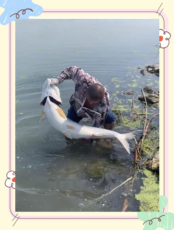 路亚鲳鱼(路亚鲳鱼用什么饵最好)