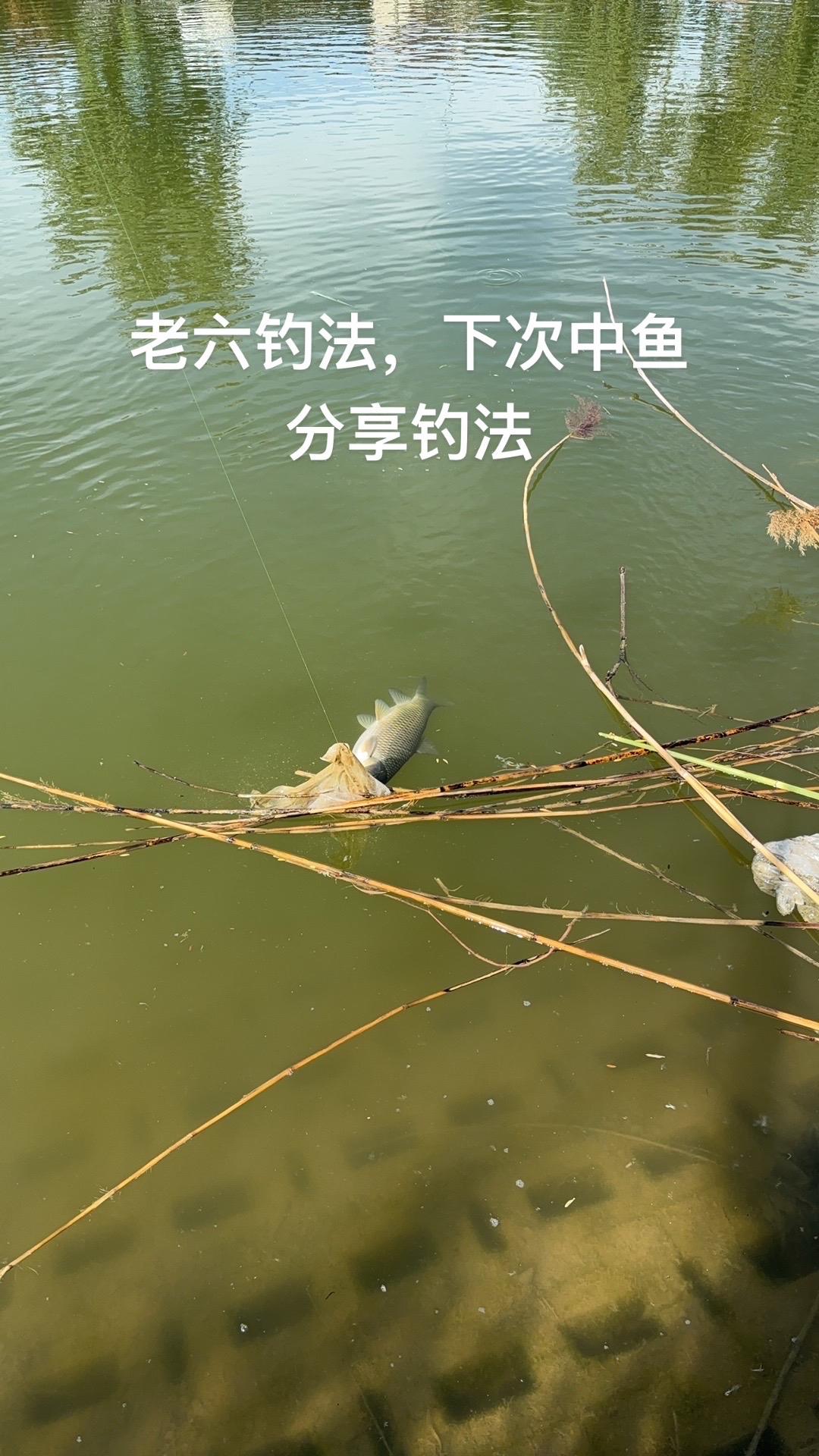 抛竿饵料怎么发酵(抛竿钓鱼饵料怎么做的)