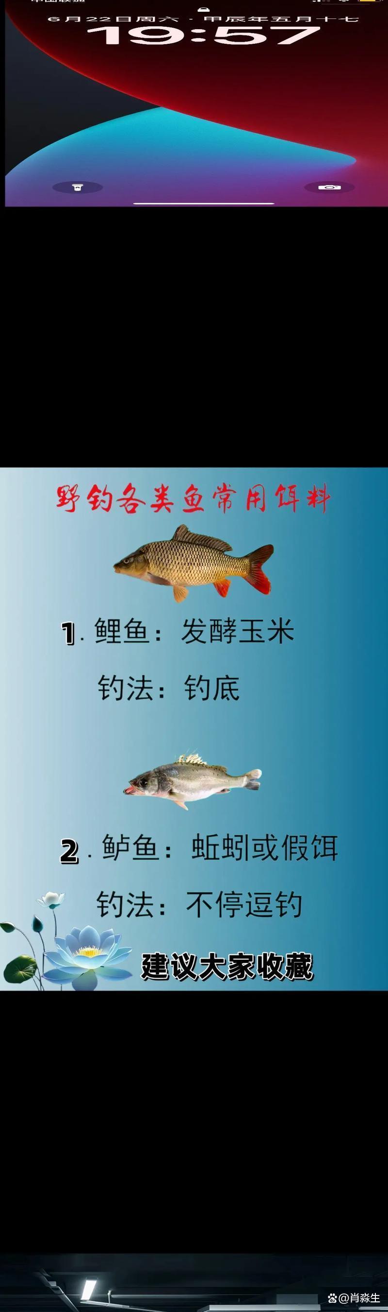 哪些饵料长江禁止(长江禁止活饵钓鱼?)