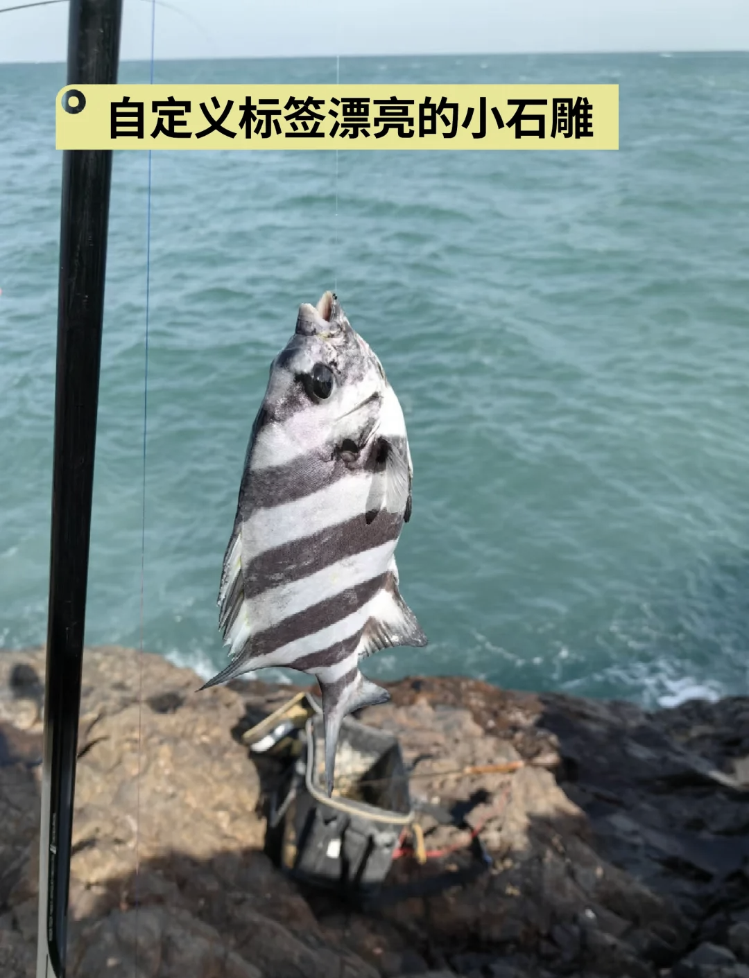 海钓礁石什么鱼多(礁石海钓适合沉漂还是浮漂)