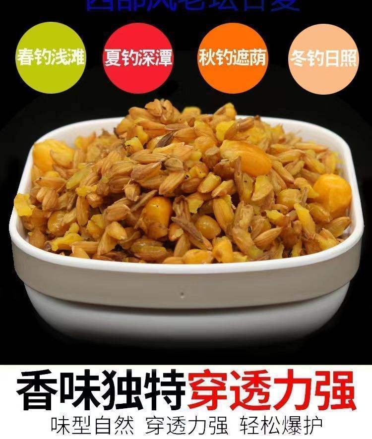 夏季制作谷麦饵料(谷麦饵料配方)