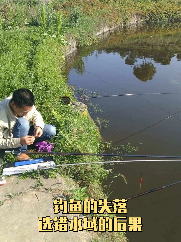 钓鱼技巧及经验(钓鱼技巧及经验总结)