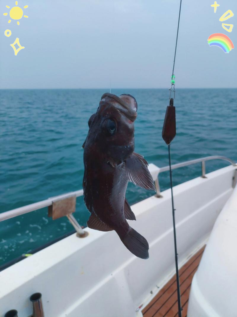 春天海钓视频(初春海钓)