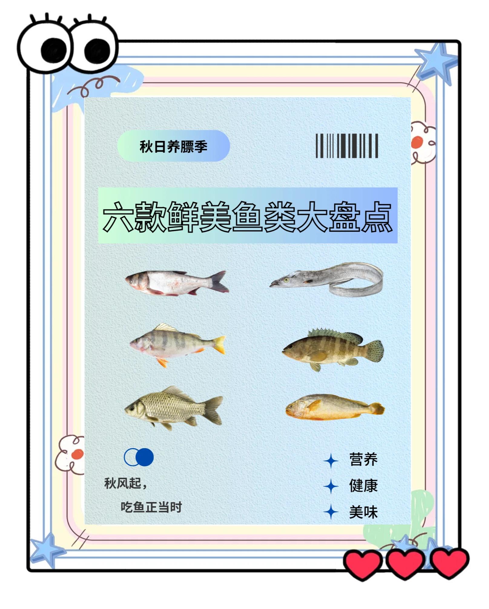秋天挂鱼技巧(秋季如何钓鱼鱼才上钩)