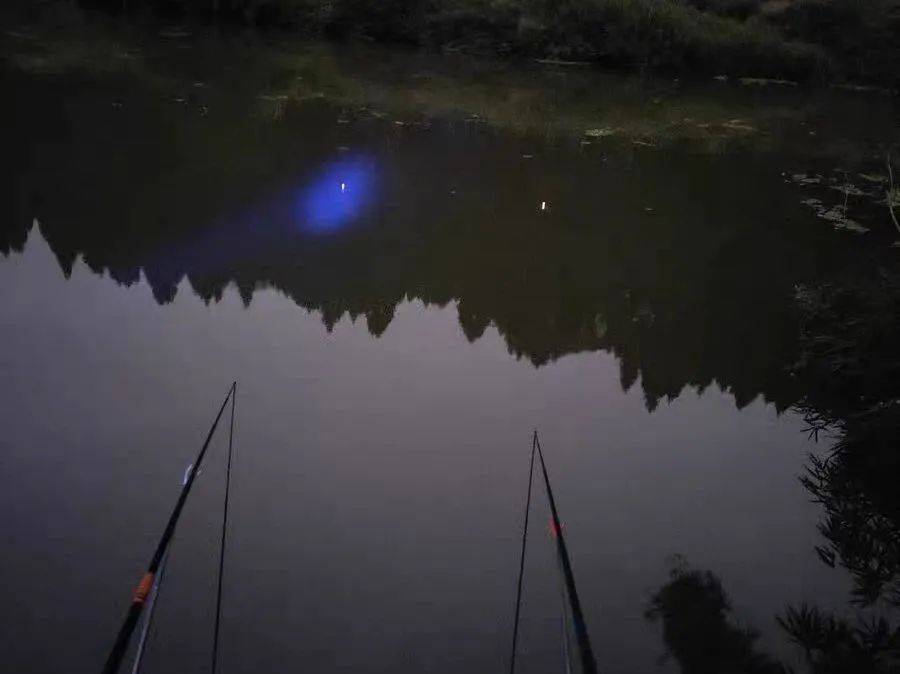 夜间野河钓鱼技巧(河里夜钓技巧)