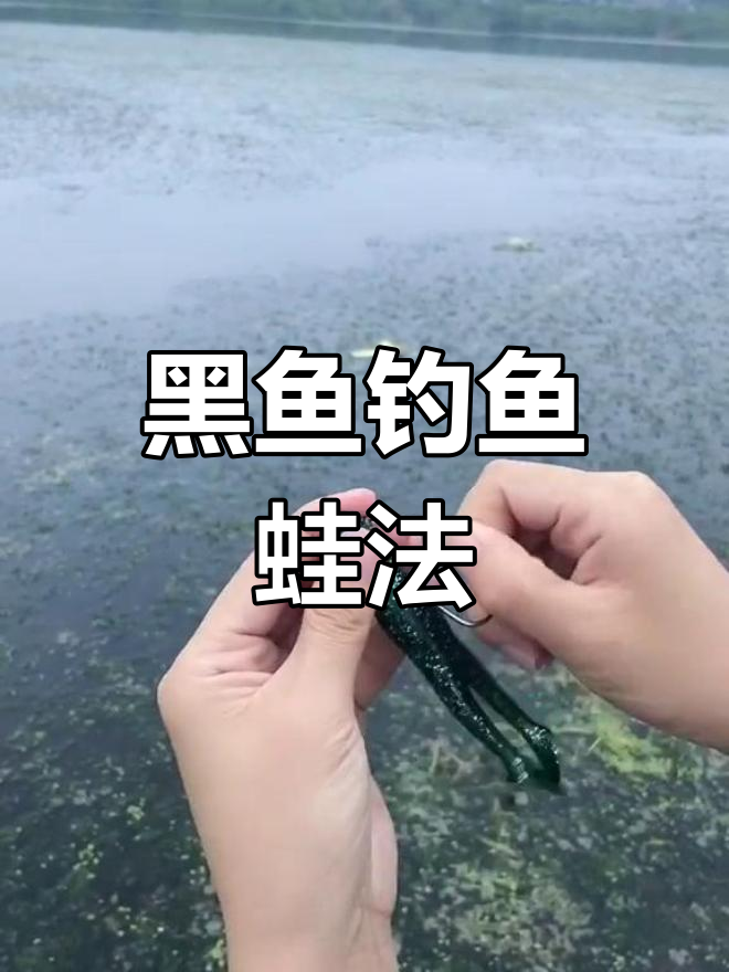 船钓黑鱼技巧(船钓黑鱼技巧和方法)
