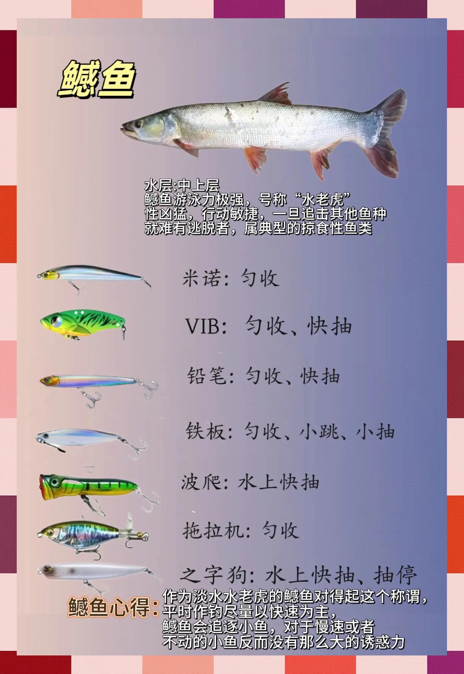 路亚溜鱼技巧(路亚溜溜钓法)