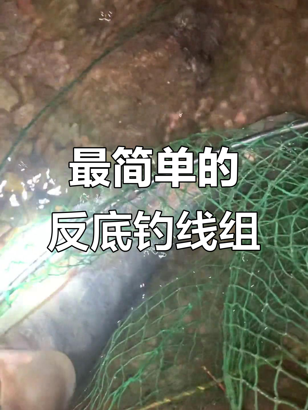 深秋如何夜钓鲢鳙技巧(秋季夜钓鲢鳙最有效的方法)