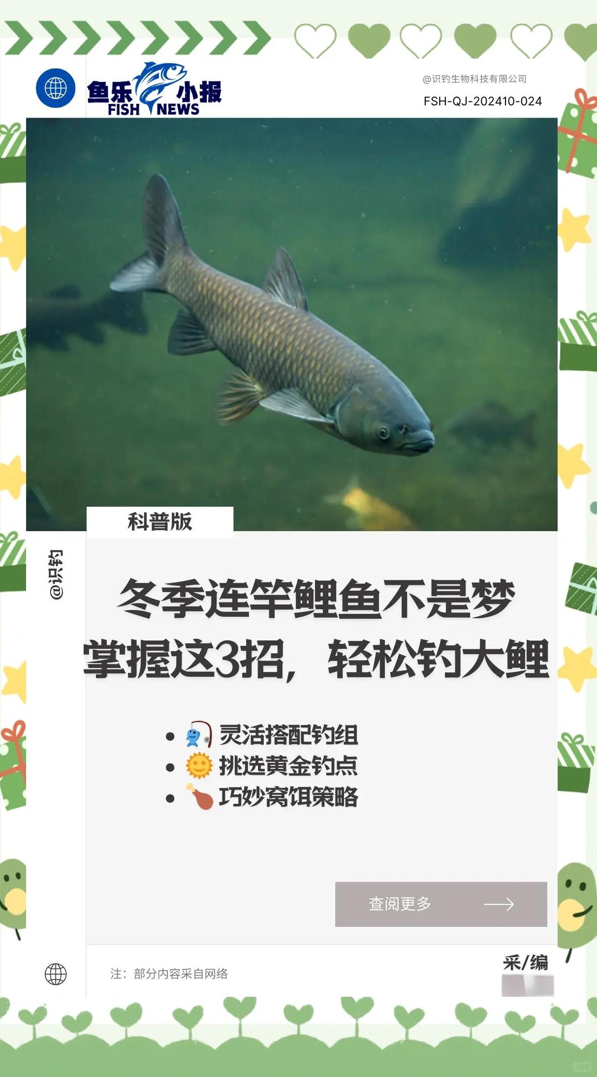 溜鲤鱼技巧视频教程(溜大鲤鱼技巧)