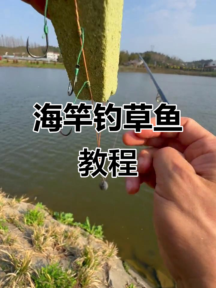 钓草鱼技巧视频(钓草鱼技巧视频讲解)