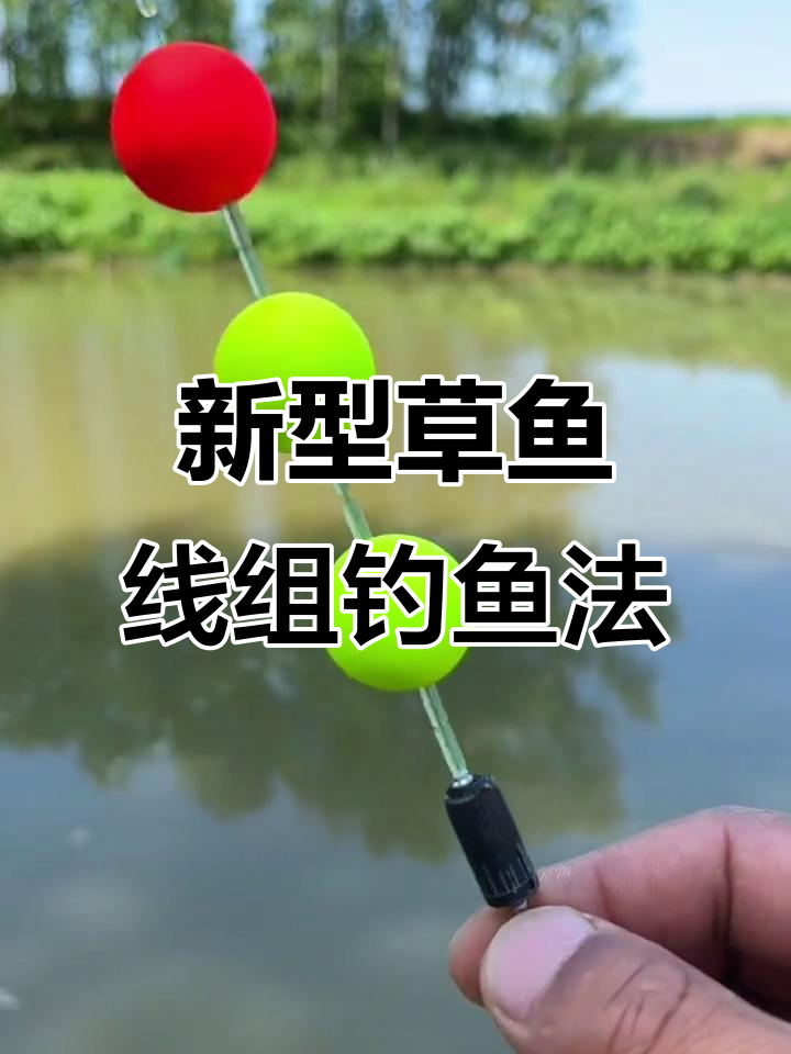 钓草鱼技巧视频(钓草鱼技巧视频讲解)