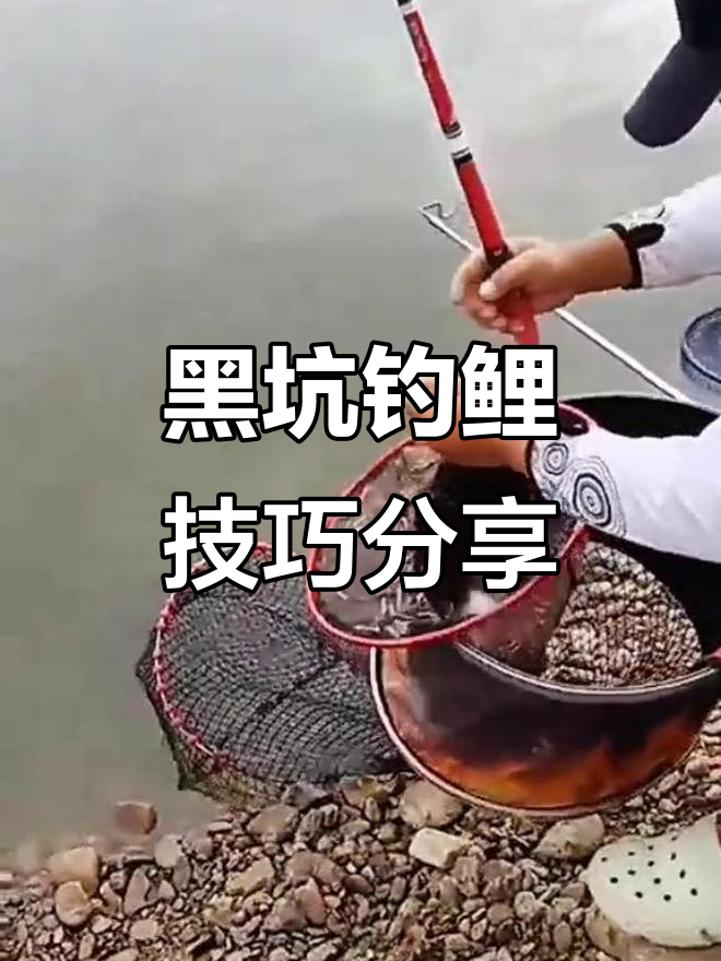 黑鲤鱼钓法技巧(黑鲤鱼怎么做好吃)