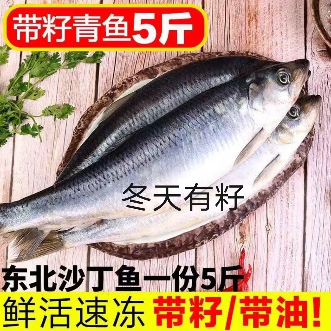 冬季青鱼技巧(冬天 青鱼)