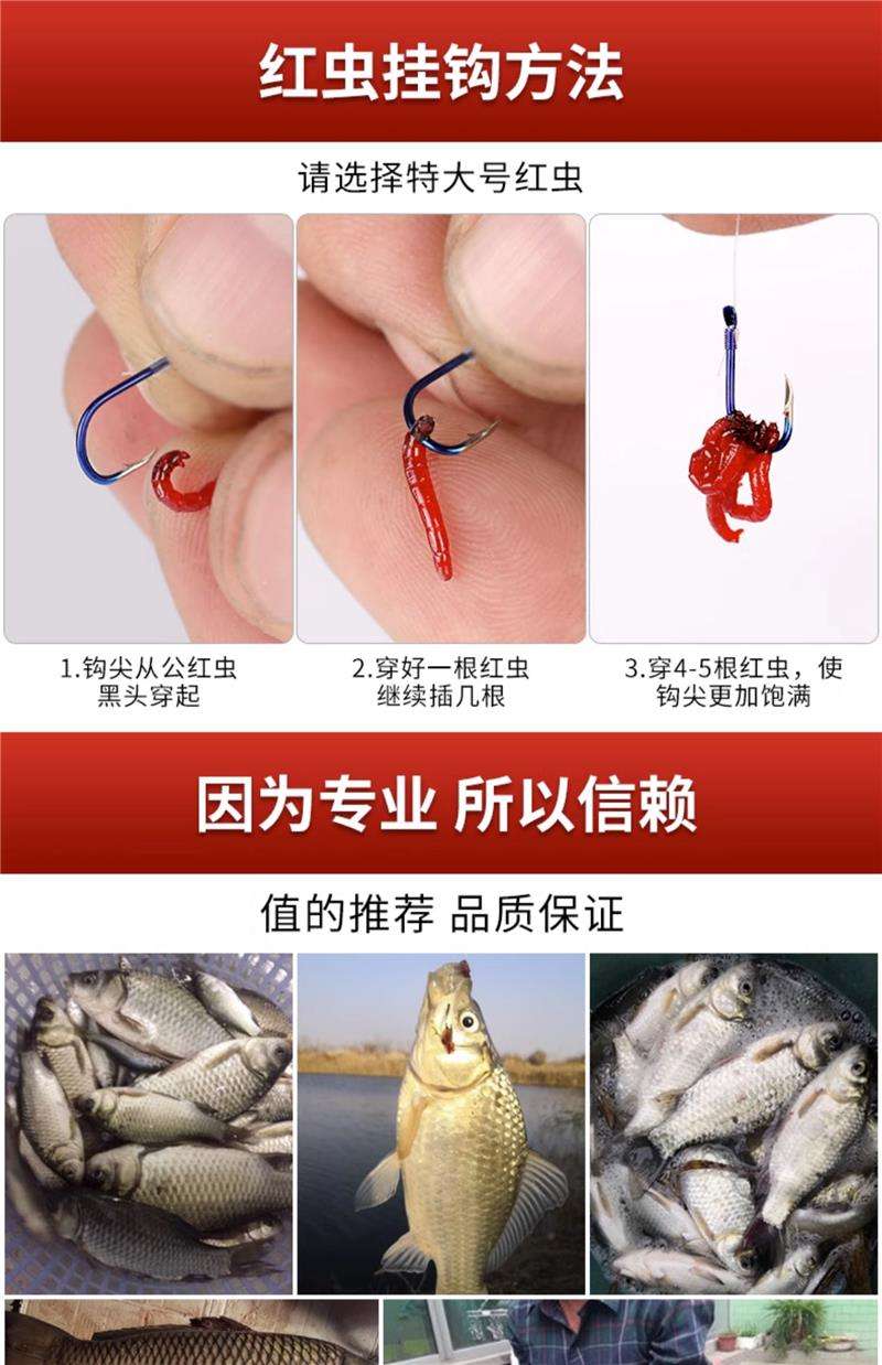 海钓红虫怎么使用(海钓红虫怎么使用饵料)