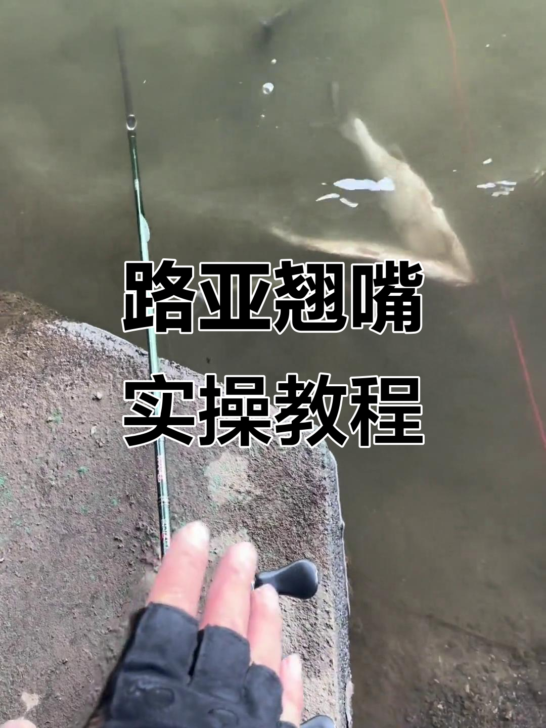 湖库路亚翘嘴技巧(湖库翘嘴怎么钓)