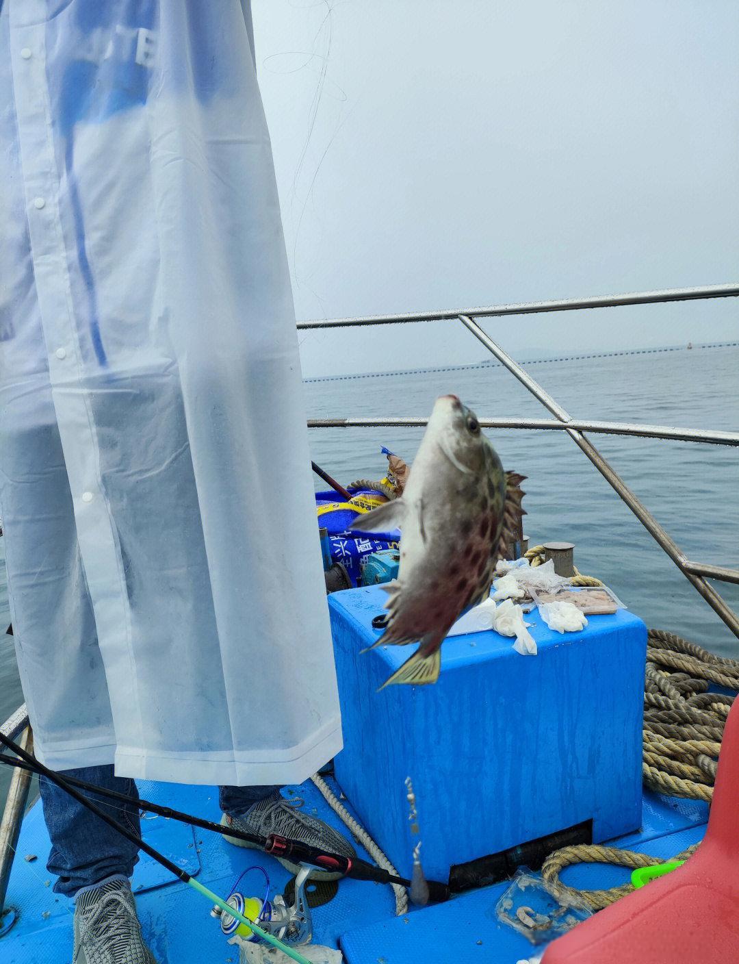 深圳租船出海海钓(深圳出海渔船)