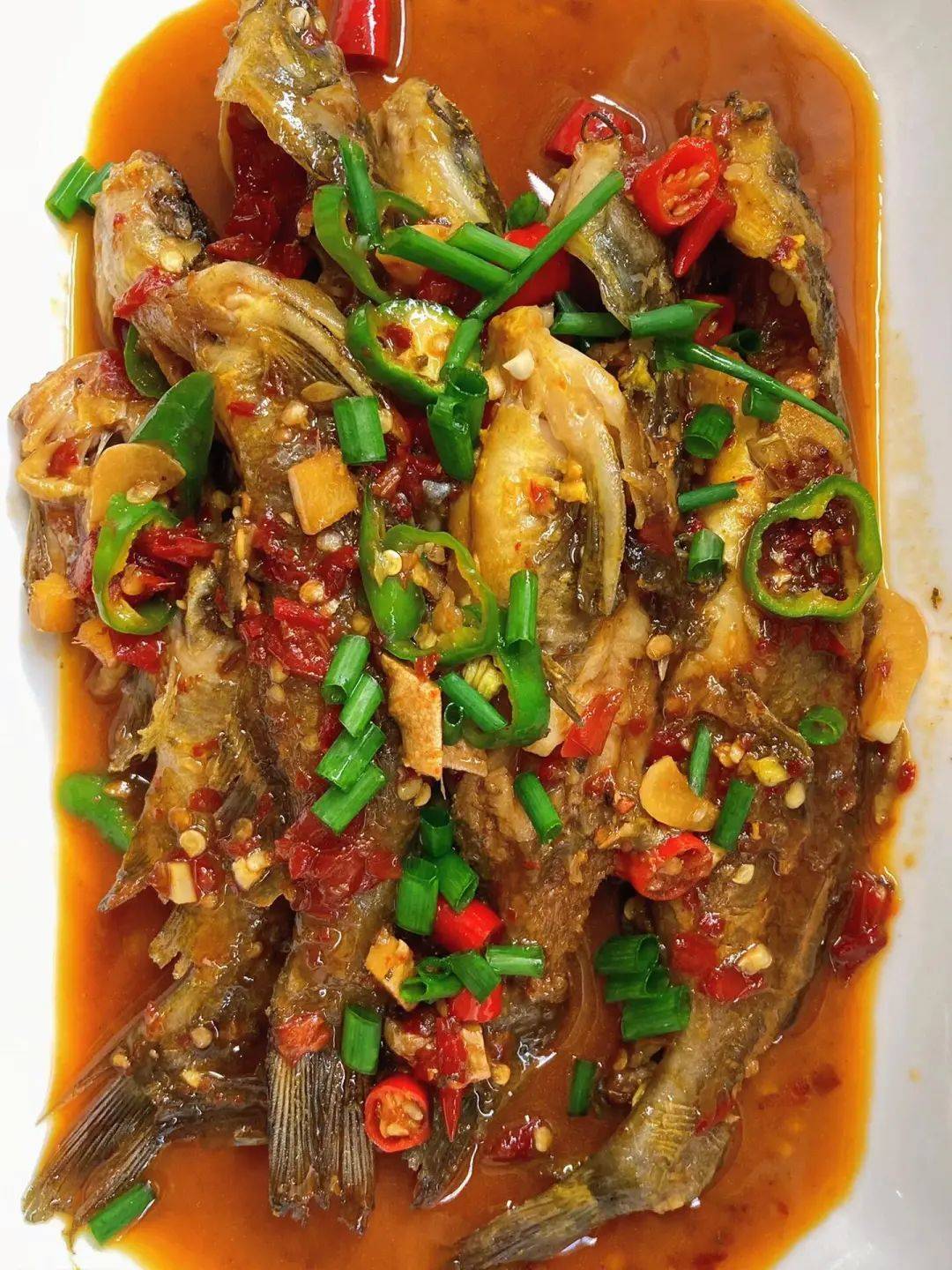钓黄芽头的技巧(钓黄牙头用什么饵料)