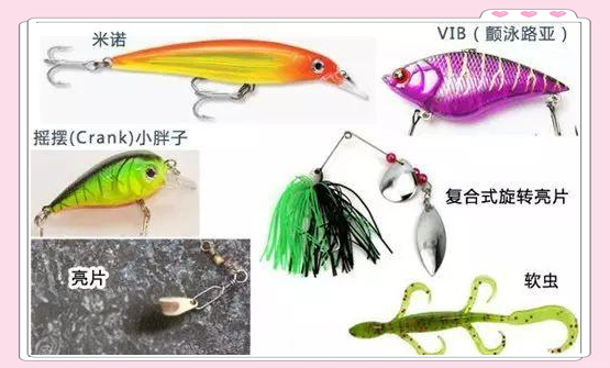 夏季路亚鲈鱼技巧(路亚钓鲈鱼怎么钓)