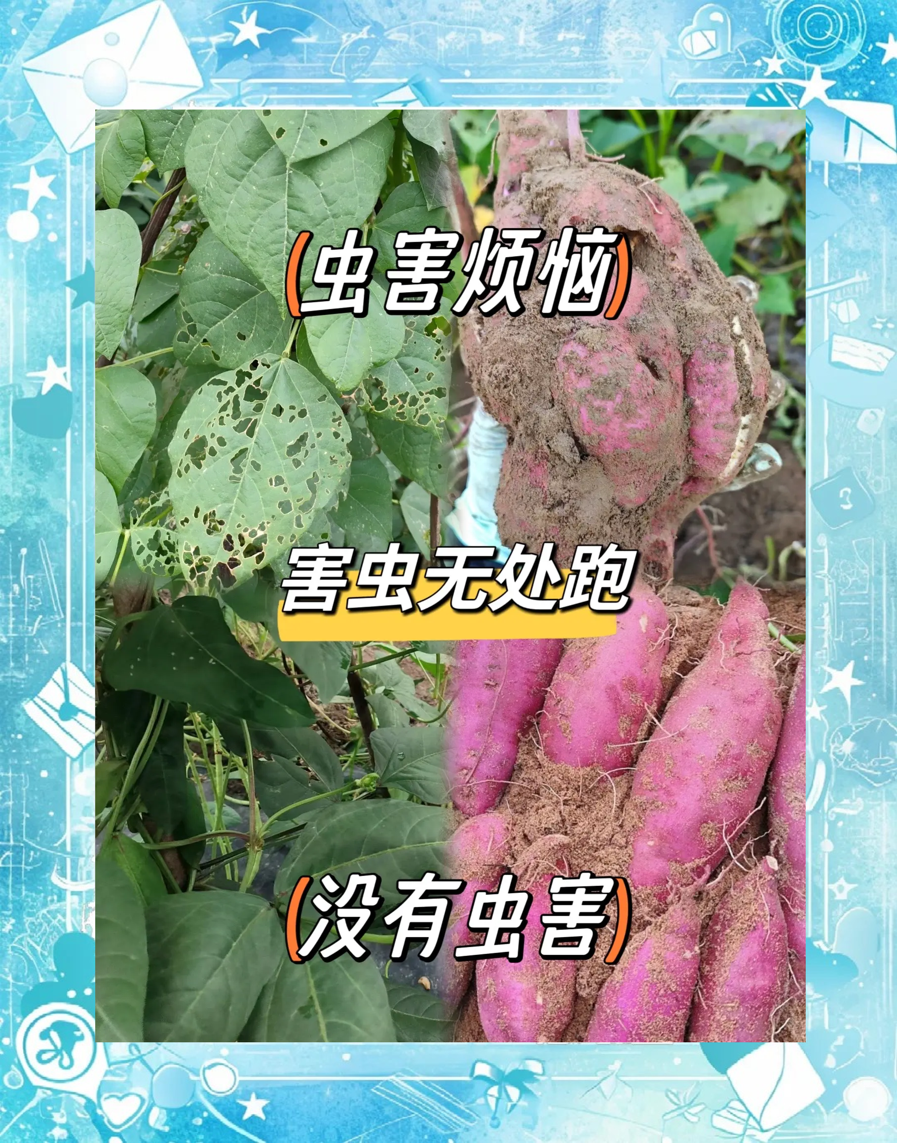 防止饵料长虫(饵料钓鱼怎么避开小鱼)
