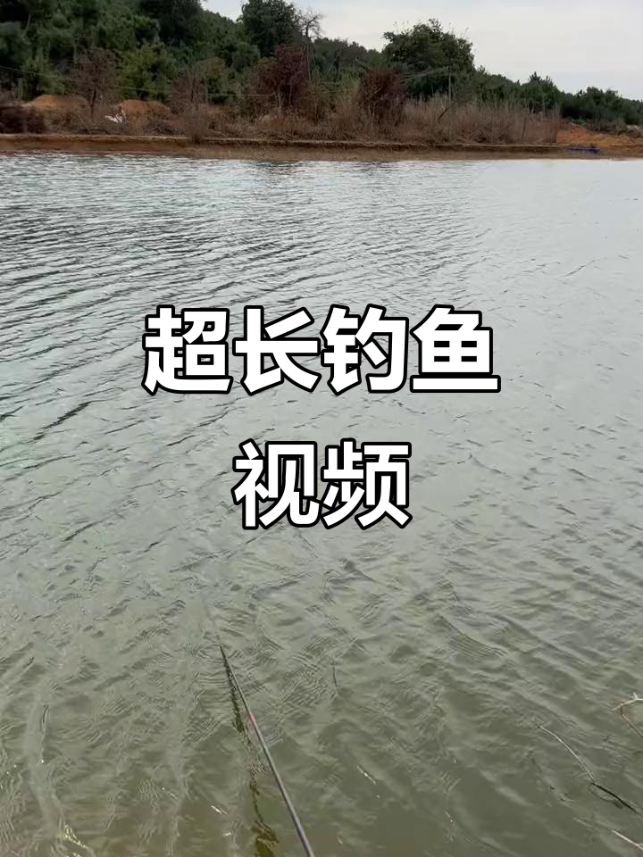 钓鱼的基本技巧视频(钓鱼教程钓鱼入门视频)