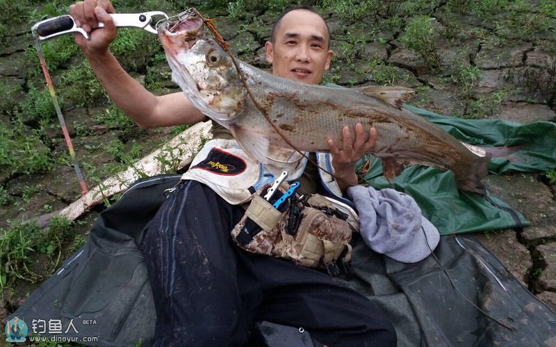 长寿湖路亚翘嘴地点(长寿湖钓鱼位置图)