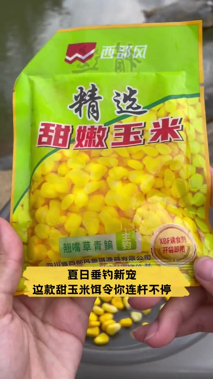 自制玉米实用饵料(自制玉米实用饵料配方)