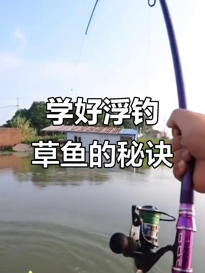 抛竿钓草鱼绑钩技巧(抛竿野钓草鱼技巧)